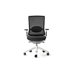 TNK 500 staff chair series CG-A7009-2-1C