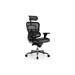 Erghuman plus office chair CG--1002-1